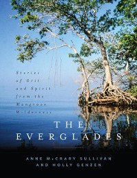 Cover Everglades