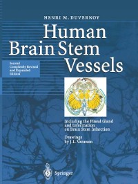 Cover Human Brain Stem Vessels
