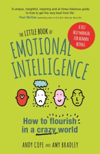 Cover Little Book of Emotional Intelligence
