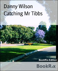 Cover Catching Mr Tibbs