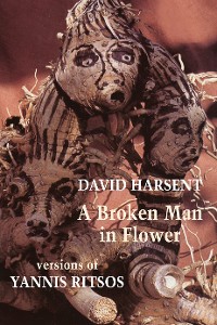 Cover A Broken Man in Flower