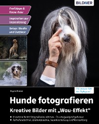 Cover Hunde fotografieren - Kreative Bilder mit "Wau-Effekt"