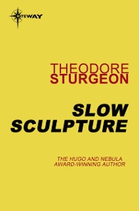 Cover Slow Sculpture