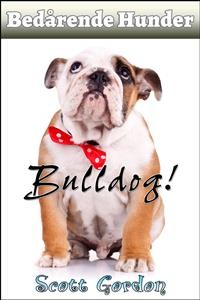 Cover Bedårende Hunder: Bulldog
