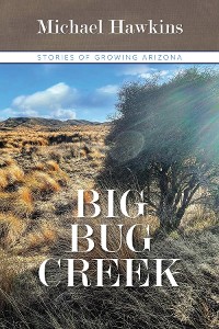 Cover Big Bug Creek