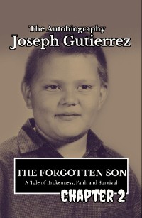 Cover The Forgotten Son