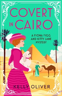 Cover Covert in Cairo