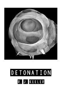Cover Detonation