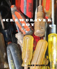 Cover Screwdriver Boy