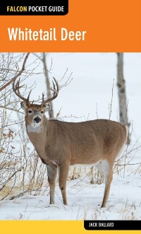 Cover Whitetail Deer