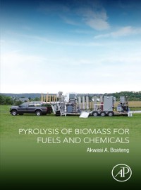 Cover Pyrolysis of Biomass for Fuels and Chemicals