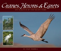 Cover Cranes, Herons & Egrets