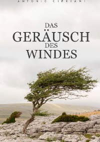 Cover Das Geräusch des Windes