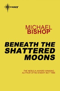 Cover Beneath the Shattered Moons