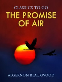 Cover Promise of Air