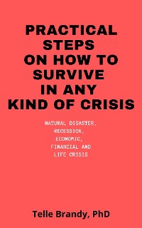 Cover Practical Steps On How To Survive In Any Kind Of Crisis