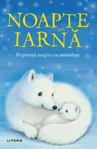 Cover Noapte De Iarnă