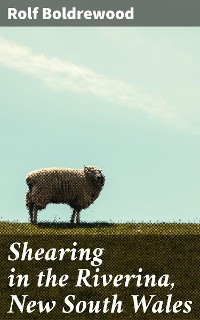 Cover Shearing in the Riverina, New South Wales