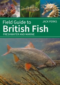 Cover Field Guide to British Fish