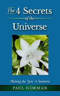 Cover The 4 Secrets of the Universe