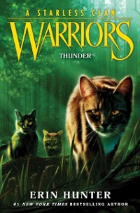 Cover Warriors: A Starless Clan #4: Thunder