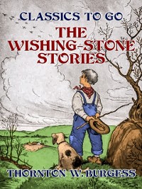 Cover Wishing-Stone Stories