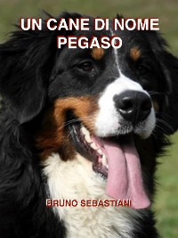 Cover Un cane di nome Pegaso
