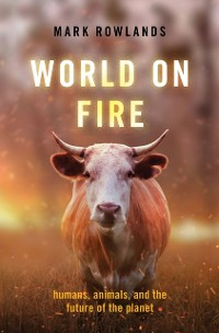 Cover World on Fire