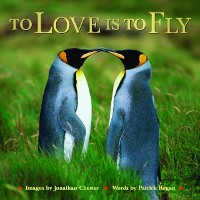 Cover To Love Is to Fly