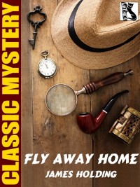 Cover Fly Away Home