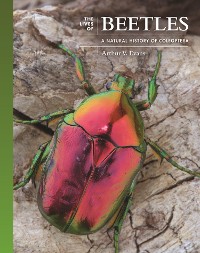 Cover The Lives of Beetles