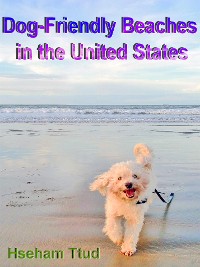 Cover Dog-Friendly Beaches in the United States