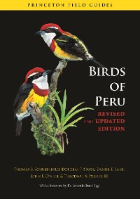 Cover Birds of Peru