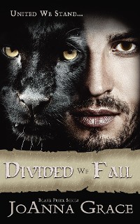 Cover Divided We Fall