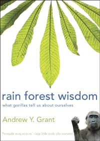 Cover Rain Forest Wisdom