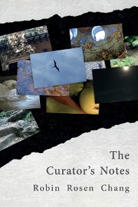 Cover The Curator's Notes