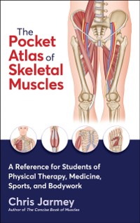 Cover The Pocket Atlas of Skeletal Muscles : A Reference for Students of Physical Therapy, Medicine, Sports, and Bodywork