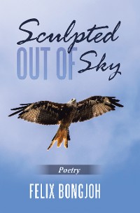 Cover Sculpted out of Sky