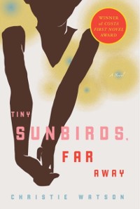 Cover Tiny Sunbirds, Far Away