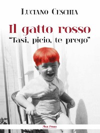 Cover Il gatto rosso