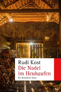 Cover Die Nadel im Heuhaufen