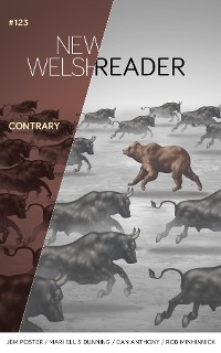 Cover New Welsh Reader