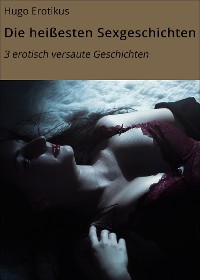 Cover Die heißesten Sexgeschichten