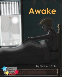 Cover Awake