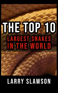 Cover The Top 10 Largest Snakes in the World