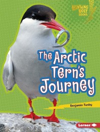 Cover Arctic Tern's Journey