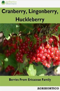 Cover Cranberry, Lingonberry, Huckleberry