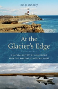 Cover At the Glacier's Edge