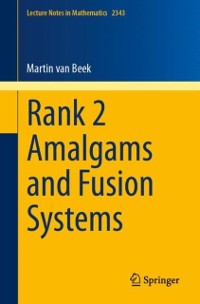 Cover Rank 2 Amalgams and Fusion Systems