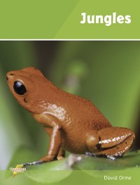 Cover Jungles (ebook)
